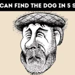 Optical Illusion: Only 2% Can Find The Hidden Dog In 5 Seconds! Pertaining To Pictures That Have Hidden Pictures In Them