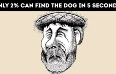 Optical Illusion: Only 2% Can Find The Hidden Dog In 5 Seconds! pertaining to Pictures That Have Hidden Pictures In Them