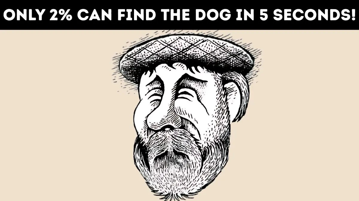 Optical Illusion: Only 2% Can Find The Hidden Dog In 5 Seconds! pertaining to Pictures That Have Hidden Pictures In Them