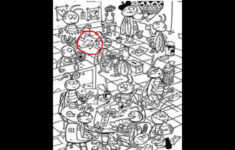 Optical Illusion: Only Sharp Eyes Can Find The Hidden Cheese In intended for Mind Eye Hidden Pictures