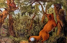 Optical Illusion: Test Your Iq- Spot 16 Hidden Animals In The inside Hidden Pictures of Animals