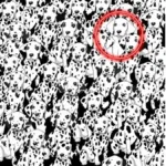 Optical Illusion: Within 8 Seconds Spot The Hidden Dog Among In Dot Pictures With Hidden Pictures