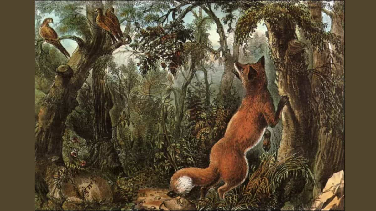 Optical Illusions: Do You Have The Guts To Spot 9 Hidden Faces In intended for Hidden Pictures Inside Pictures