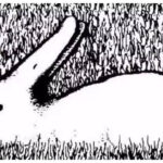 Optical Illusions: Duck Or Rabbit? The Animal You See First Can Regarding Hidden Pictures Puzzles Ducks & Bunnies