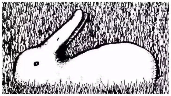 Hidden Pictures Puzzles Ducks & Bunnies