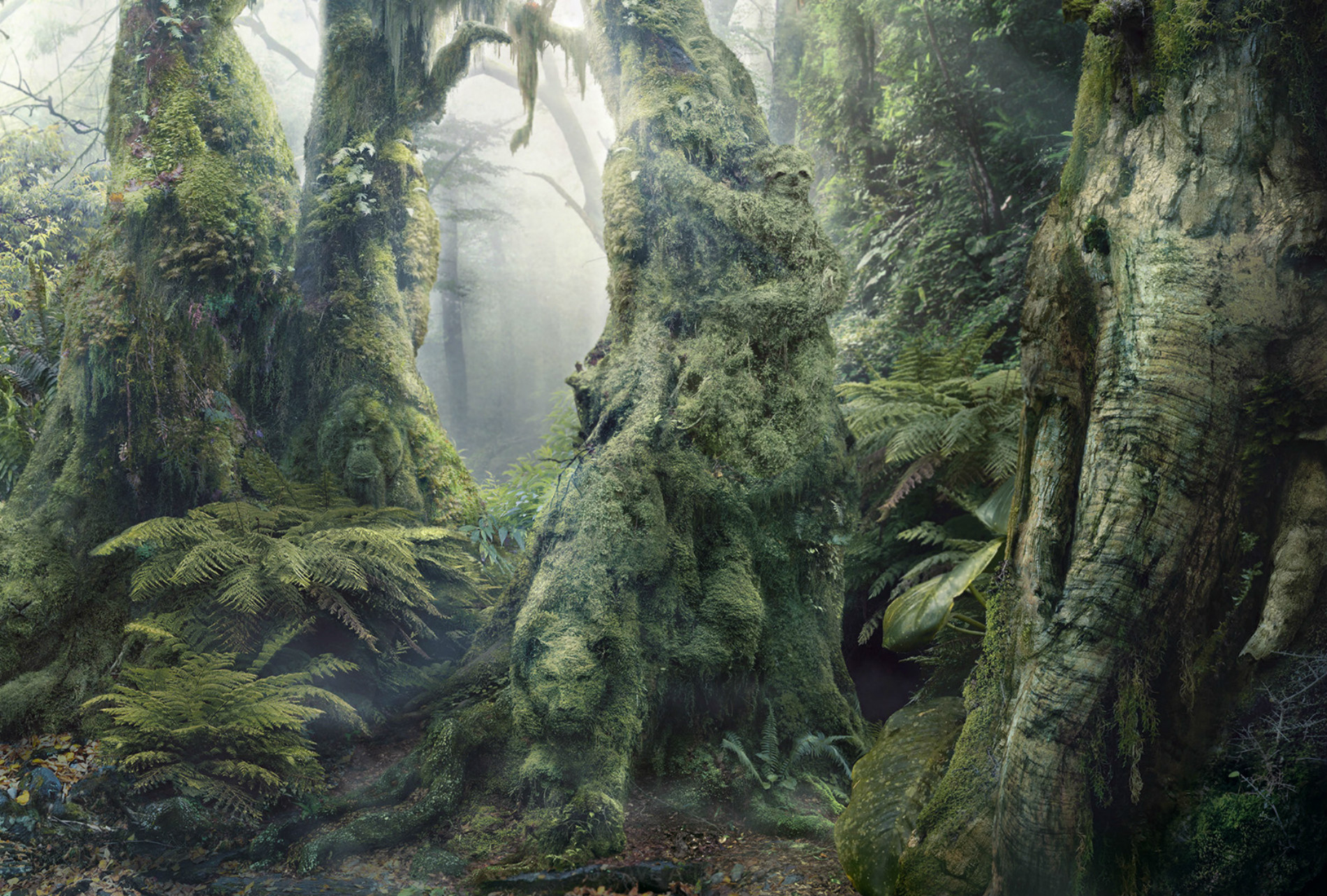 Optical Illusions: Find The Hidden Animals In The Rainforest pertaining to Optical Illusions Pictures Hidden Pictures
