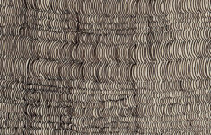 Patterns Found In Nature | Finding The Hidden Pattern regarding Hidden Pictures in Patterns