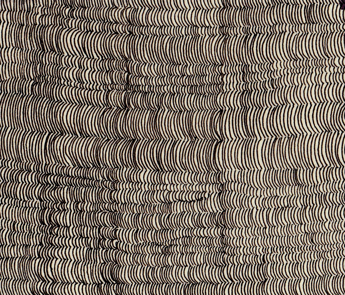Patterns Found In Nature | Finding The Hidden Pattern regarding Hidden Pictures in Patterns
