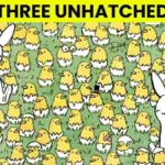 Picture Puzzle Iq Test: Can You Spot 3 Unhatched Eggs Among The Intended For Highlights Hidden Pictures Answers August 2026