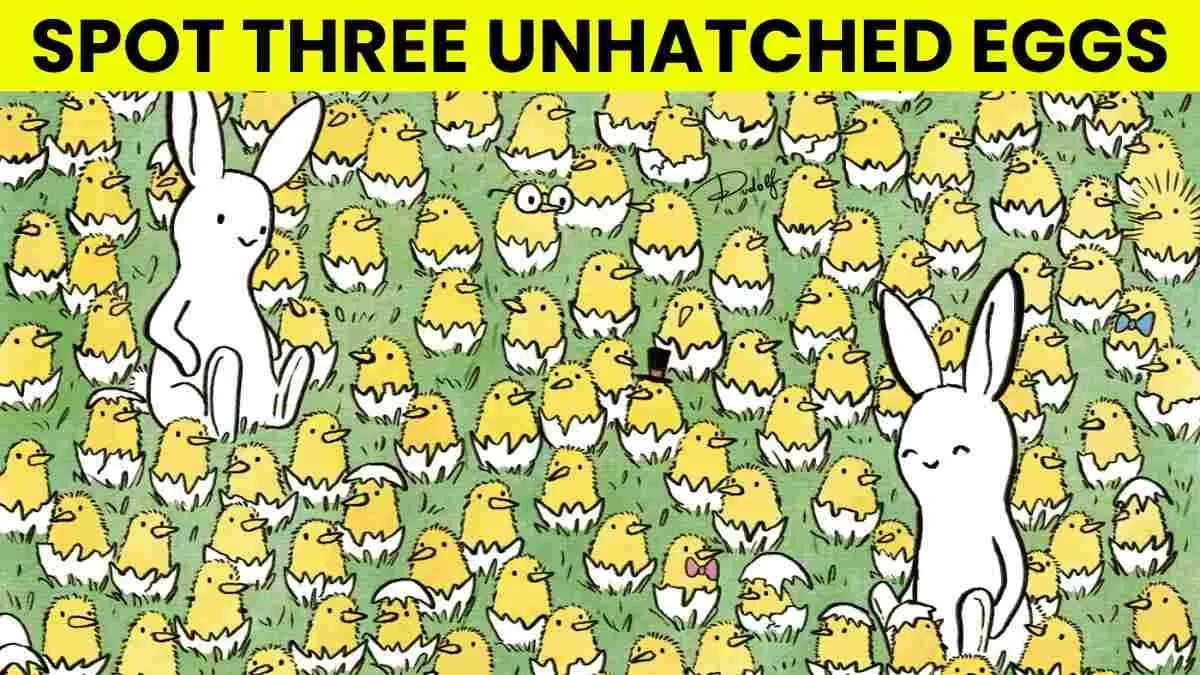 Picture Puzzle Iq Test: Can You Spot 3 Unhatched Eggs Among The intended for Highlights Hidden Pictures Answers August 2026