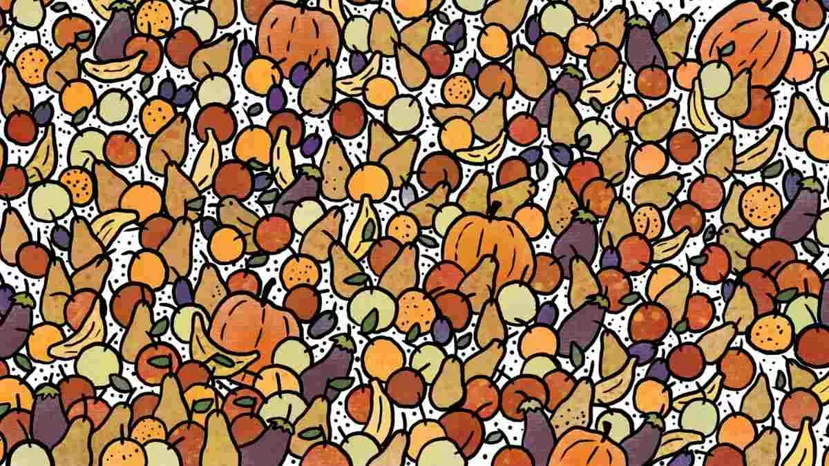 Picture Puzzle Iq Test: Can You Spot Three Birds Hidden Among intended for Highlights Hidden Pictures Answers August 2026