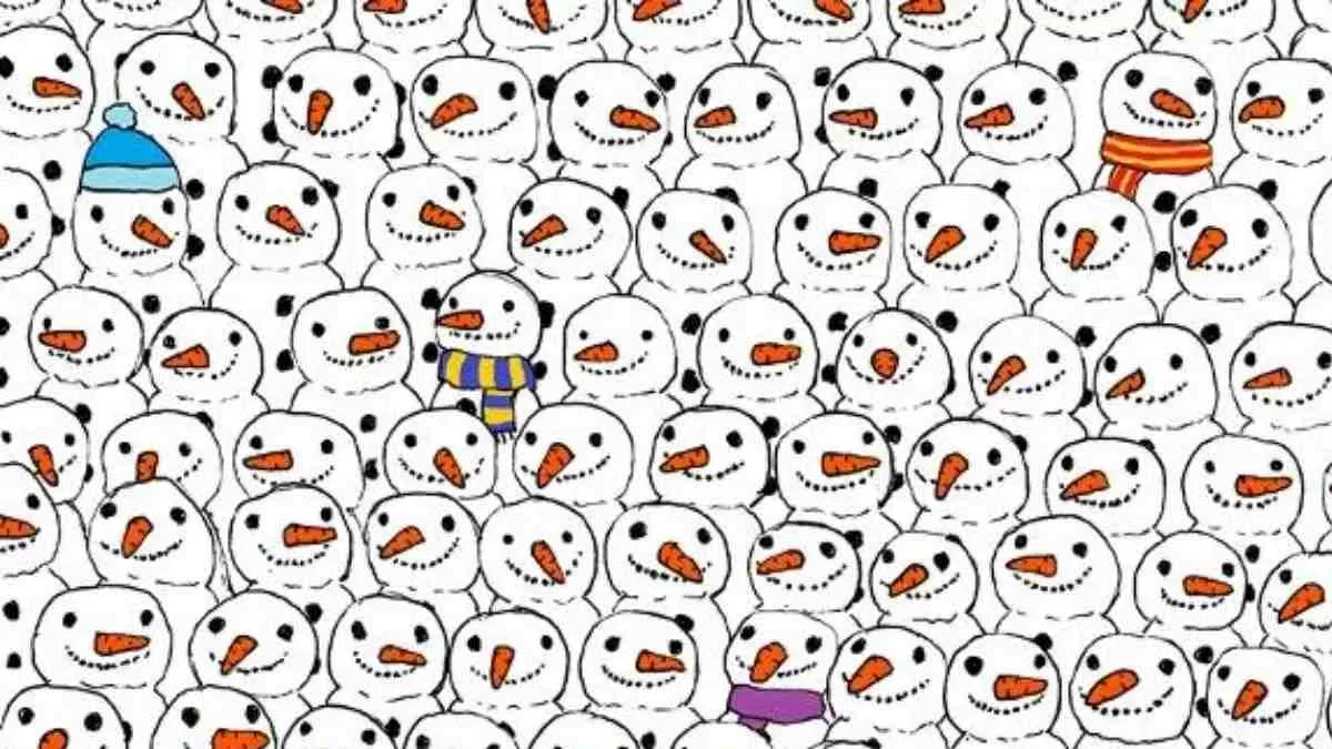 Picture Puzzle: Test Your Observation Skills! Can You Spot The within Snowmen All Year Hidden Pictures Answers