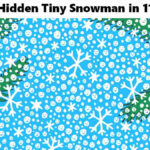 Picture Puzzles: Can You Spot A Tiny Snowman Hidden Among The Pertaining To Snowmen All Year Hidden Pictures