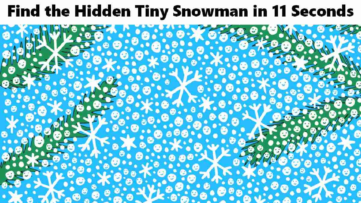 Picture Puzzles: Can You Spot A Tiny Snowman Hidden Among The pertaining to Snowmen All Year Hidden Pictures