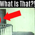 Scary Things Hidden In Pictures In Scary Things Hidden Pictures