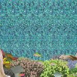 Seeing The Dolphins  Carlos Greaves   Shades Of Greaves Pertaining To Optical Illusions Pictures 3D Hidden Pictures