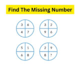 Seek And Find: Find The Hidden Boot In The Sheep Shearing Salon In Regarding Hidden Pictures Sheep Shearing Salon Answers