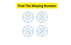 Seek And Find: Find The Hidden Boot In The Sheep Shearing Salon In regarding Highlights Hidden Pictures Sheep Shearing Salon Answers