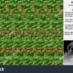 Stereogram Illusion Three Chimpanzees Hidden 3D: Stockillustration Inside Three D Hidden Pictures