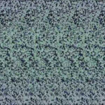 Stereograms – Puzzlewocky With Free Printable Magic Eyes