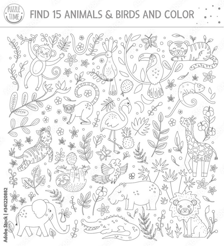 Black and White Hidden Pictures