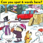 Test Your Visionfinding 6 Words Hidden In The Snowy Picture With Hidden Pictures It Snowing