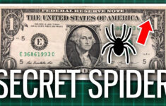 The Secret Spider On The $1 Bill for Hidden Pictures in Dollar Bills
