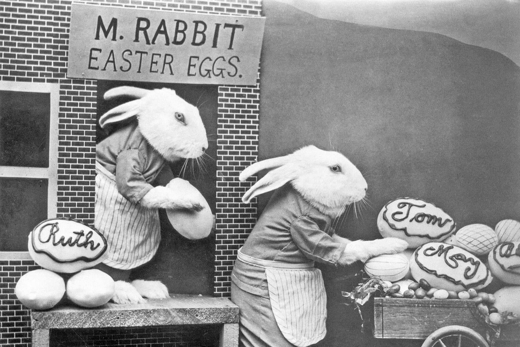 The Strange History Of The Easter Bunny — History Facts pertaining to Hidden Pictures Easter Rabbit Running Late