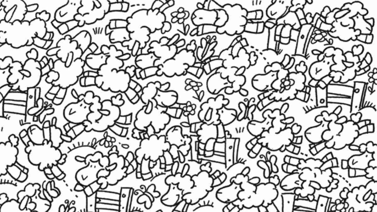 The Ultimate Visual Challenge: Can You Find The Sheep In This in Sheep Find A Hidden Picture Page