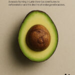 These 11 Wwf Ads Were Created Entirely In Chatgpt, And They'Re Intended For Hidden Pictures In Advertising