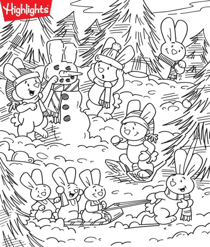Highlights Winter Hidden Pictures