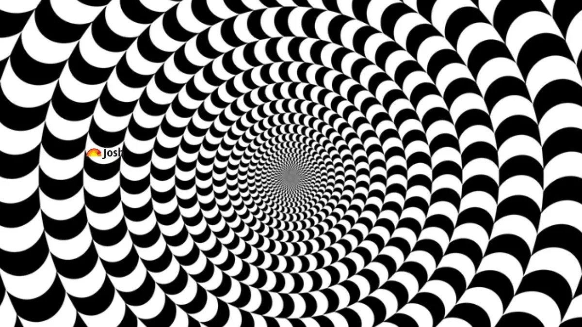 Using Your Sharp Eagle-Eye Vision With 20/20 Eyesight, Find Out for Hidden Pictures In Patterns