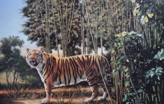 We'Re Still Loving The Hidden Tiger In This Perplexing Optical with Pictures with Hidden Pictures