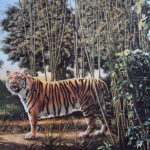 We'Re Still Loving The Hidden Tiger In This Perplexing Optical Within Pictures Hidden In Pictures