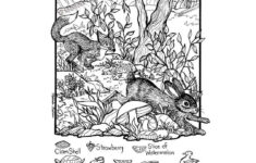 What'S Happening In The Studio - How It'S Made: Can You Find?® In pertaining to Hard Hidden Images For Adults