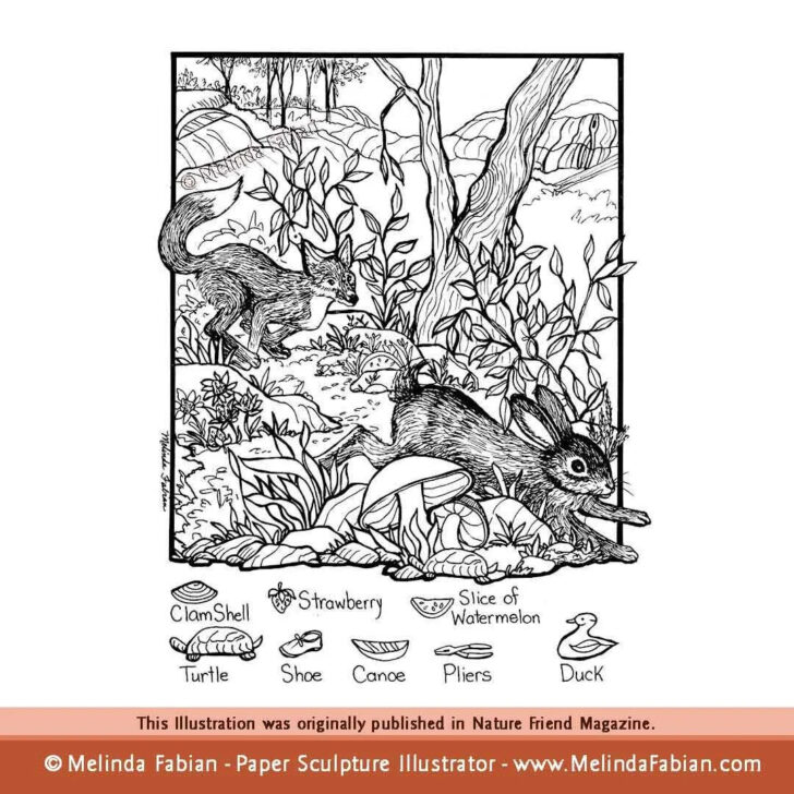 Hard Hidden Images For Adults Hard Hidden Images For Adults