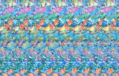 When Magic Eye Pictures Ruled The World—And Frustrated Millions Of with regard to Eye Tricks Hidden Pictures