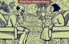 You Have God Like Vision If You Can Spot The Two Hidden Faces In pertaining to Pictures That Have Hidden Pictures in Them