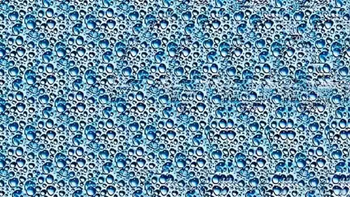 You Have High Attention To Detail If You Can Identify The Hidden inside Mind Eye Hidden Pictures